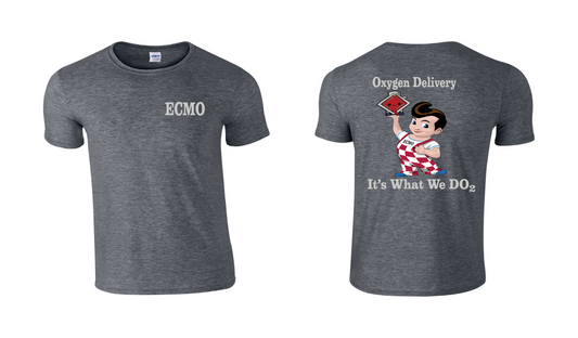 ECMO Oxygen Delivery